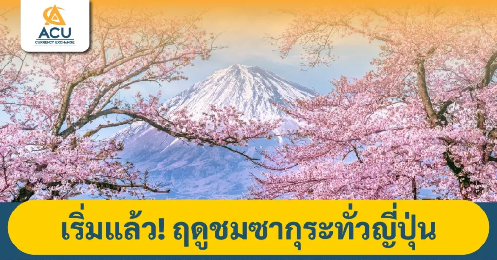 ซากุระ